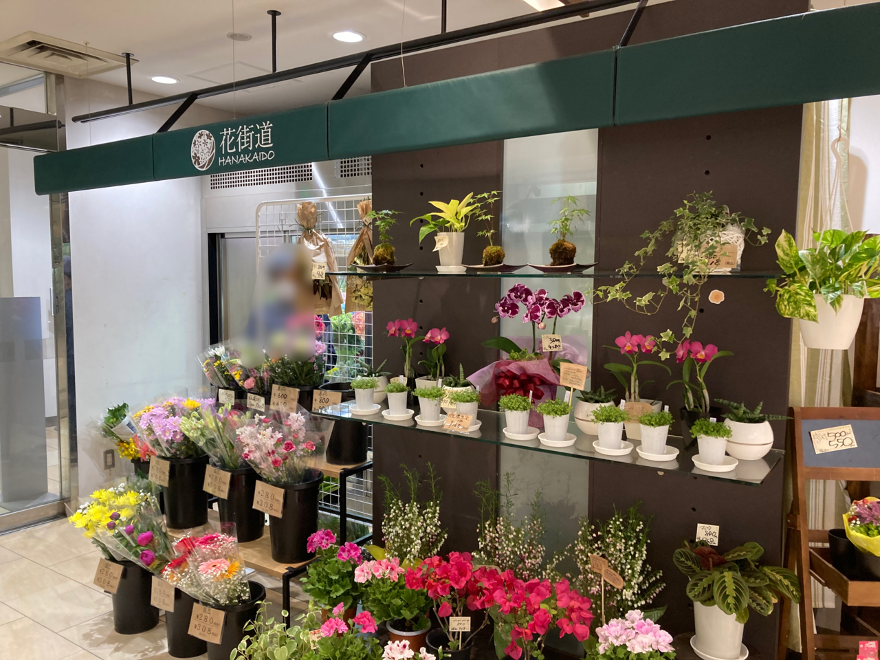 金沢市 金沢エムザにお花屋さんが新たにオープンしていました 号外net 金沢市