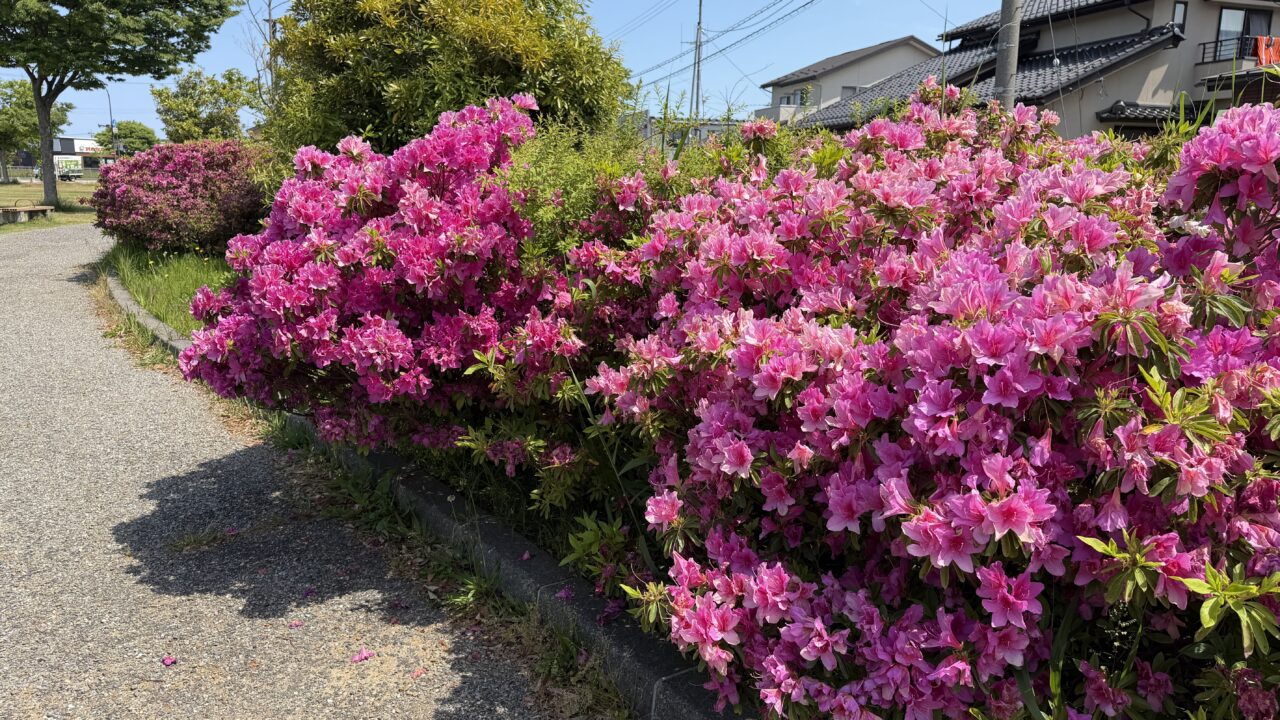 西部緑道犀川拠点広場