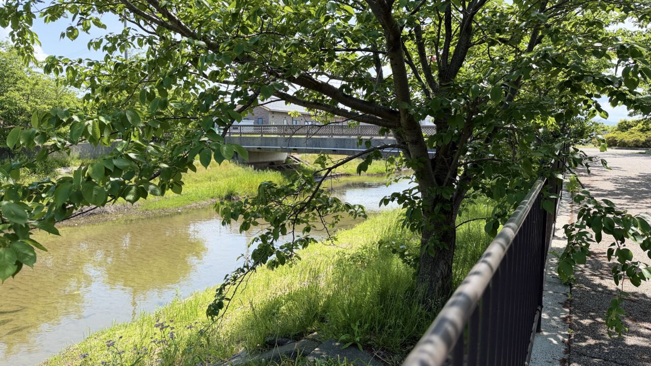 西部緑道犀川拠点広場
