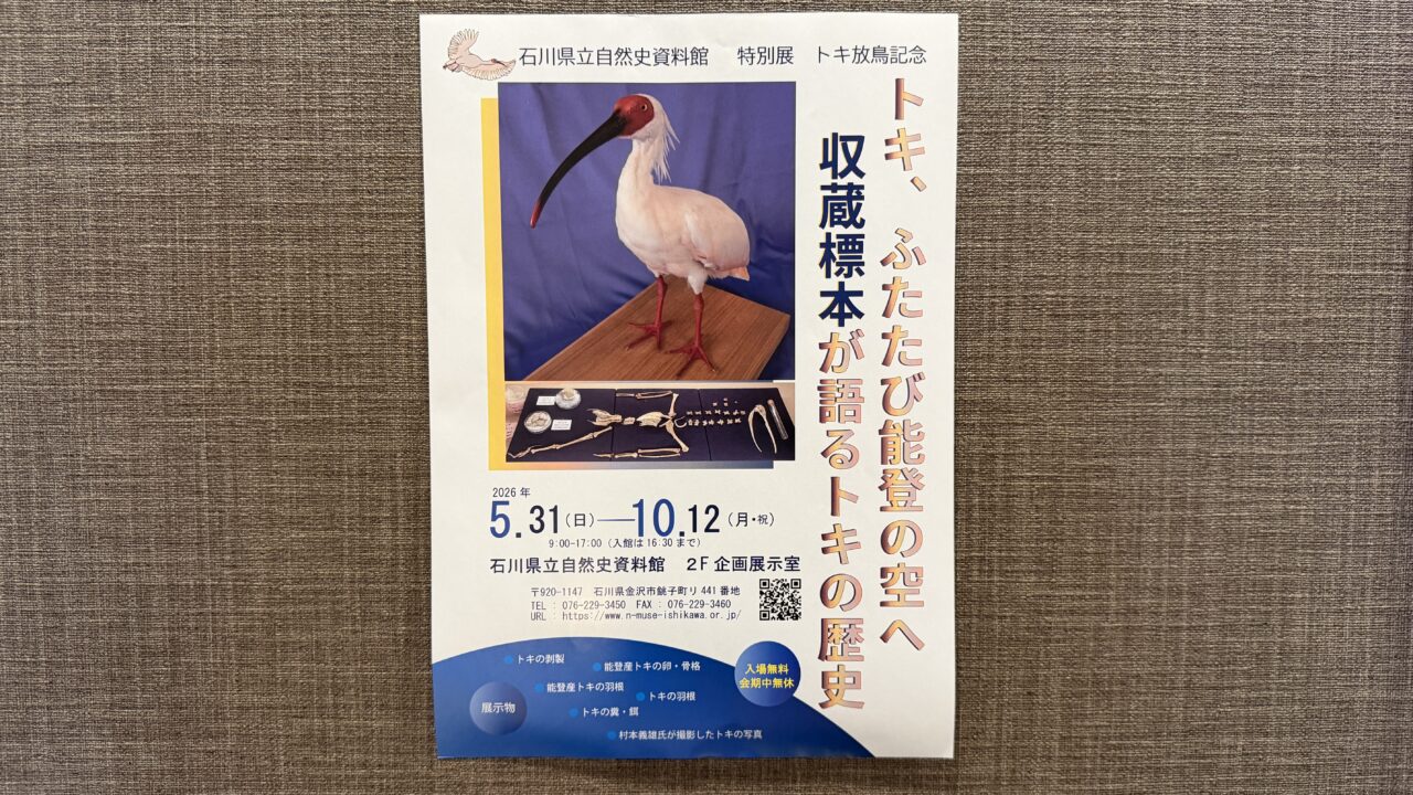 特別展トキ放鳥記念