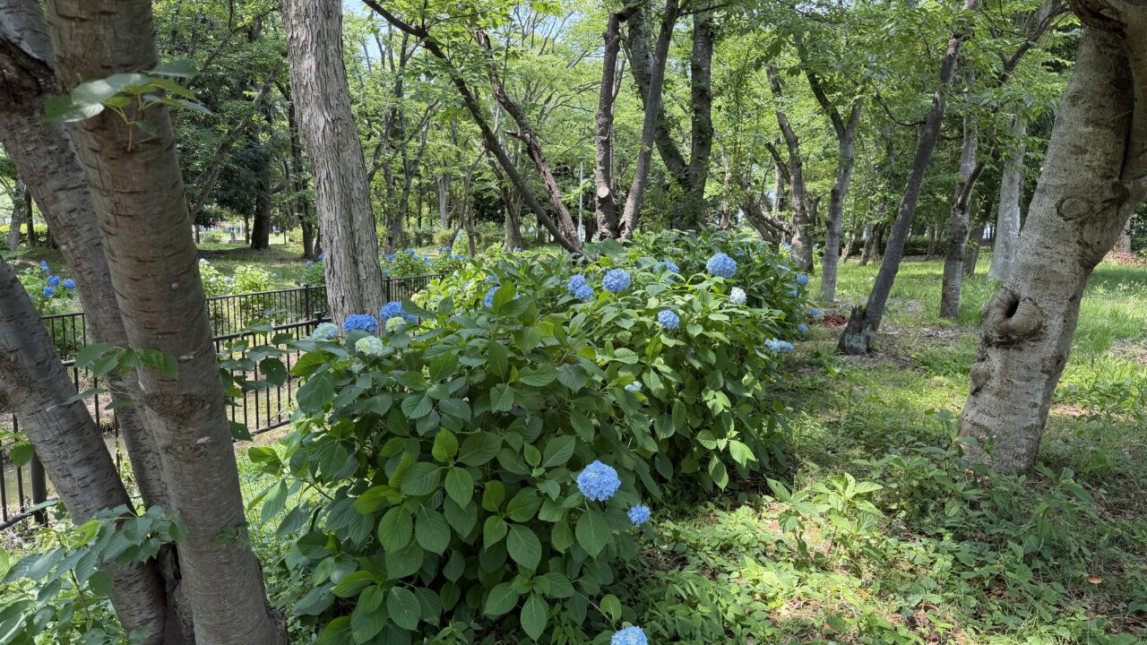 北部公園