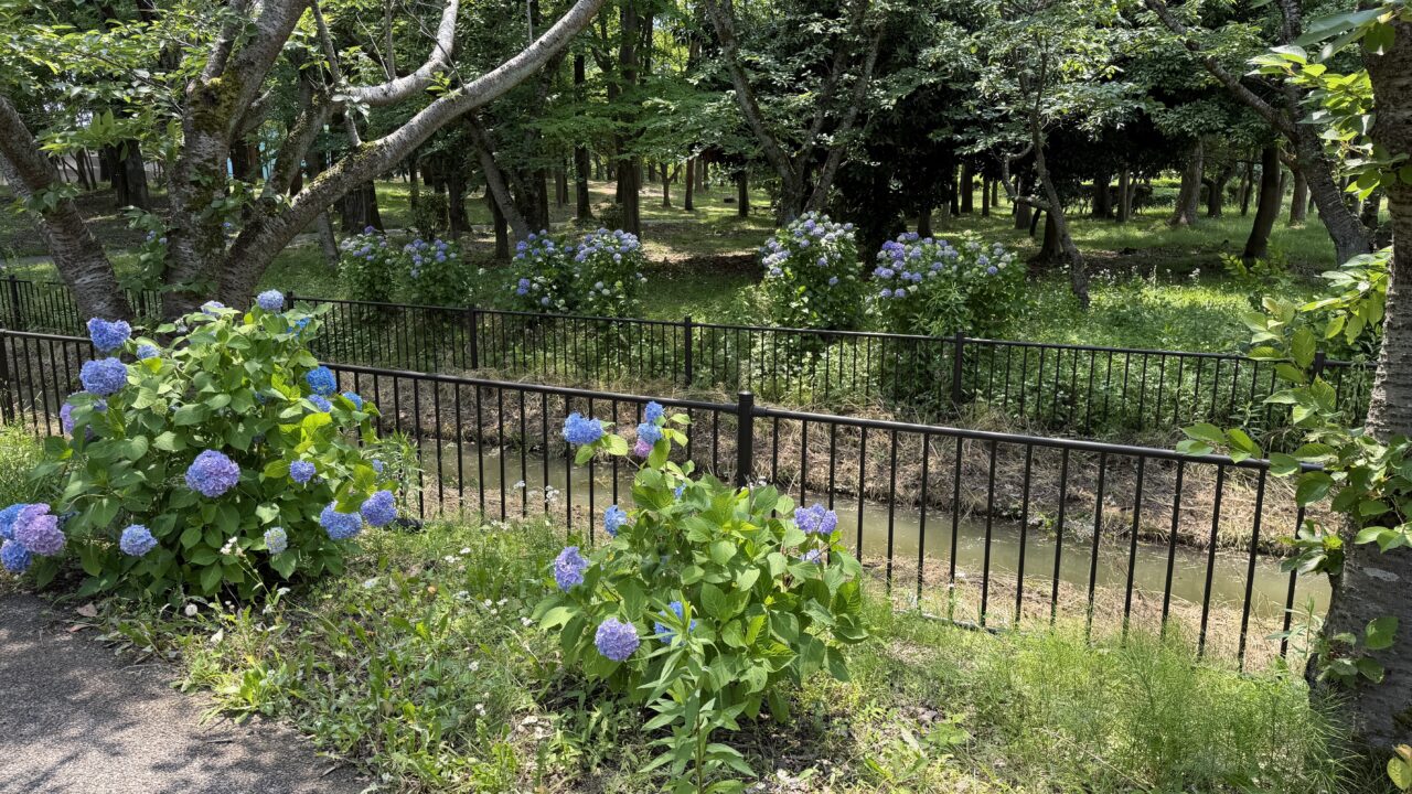 北部公園
