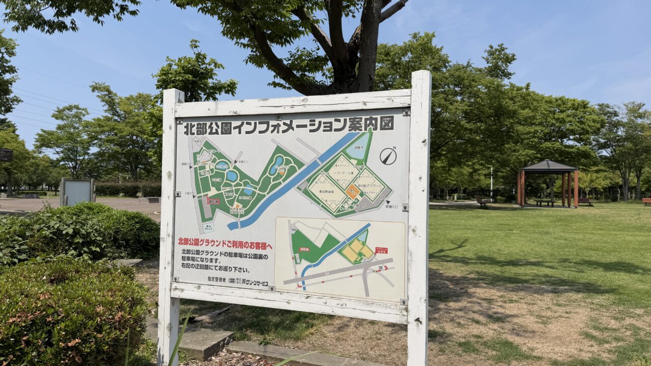 北部公園アジサイ