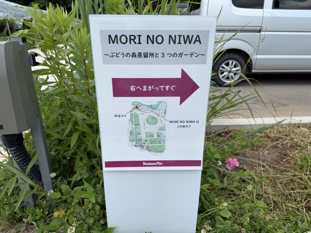 MORI NO NIWA