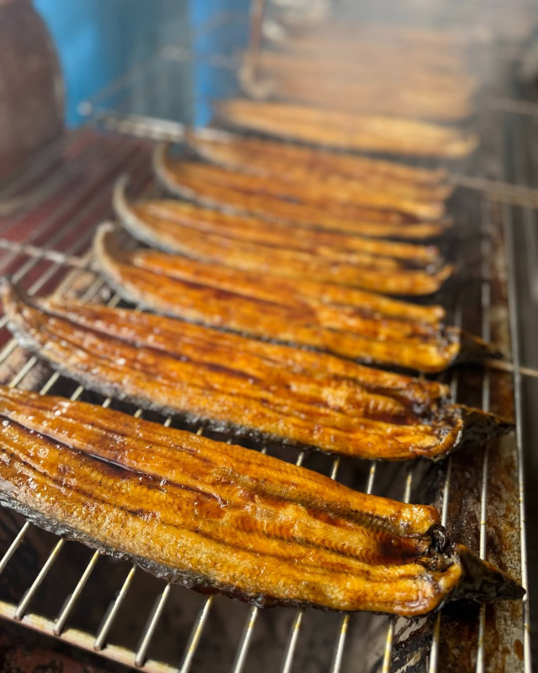 ホクチン鰻祭り
