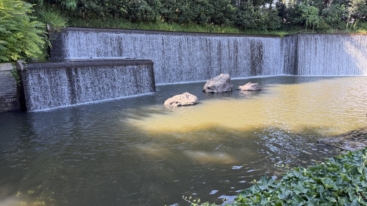 四高記念公園