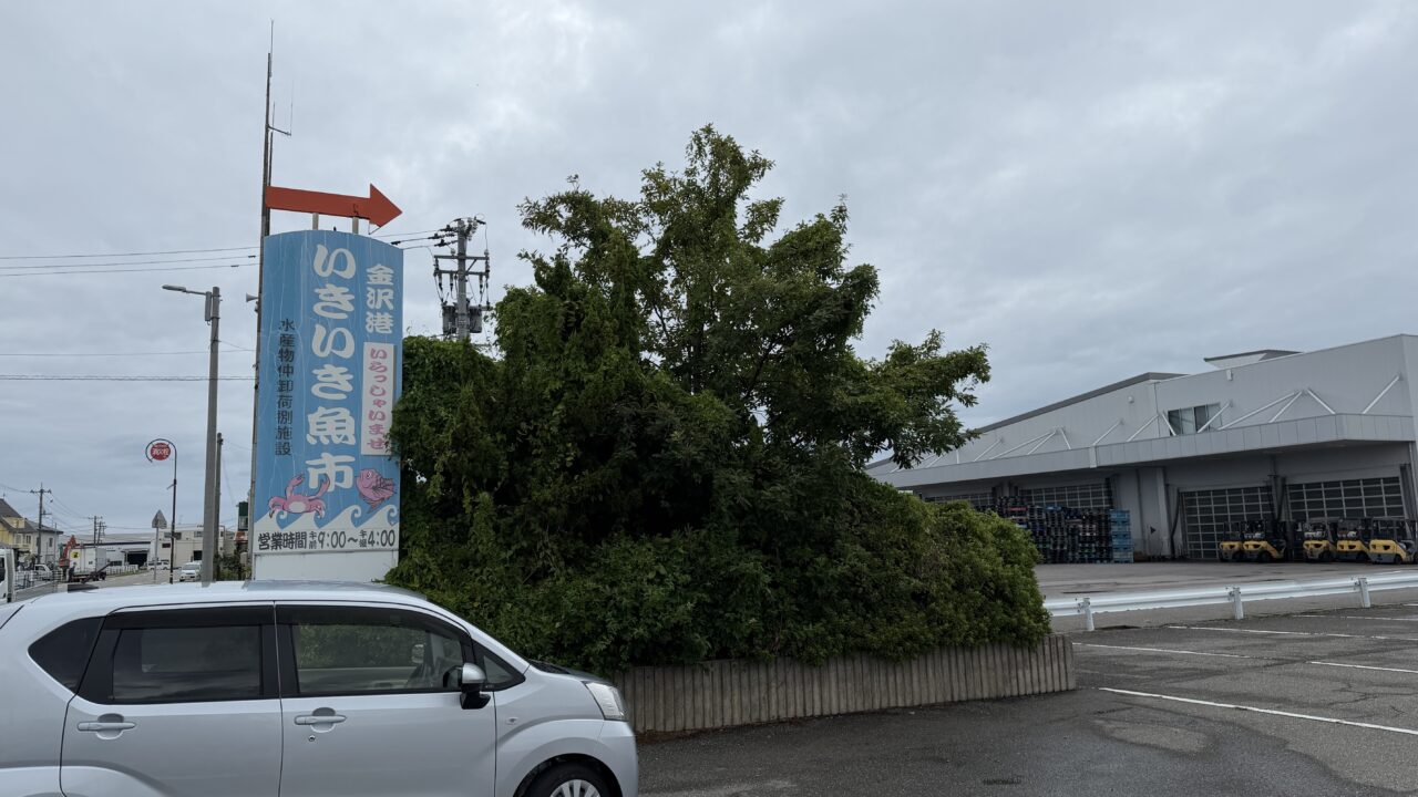 金沢港いきいき魚市