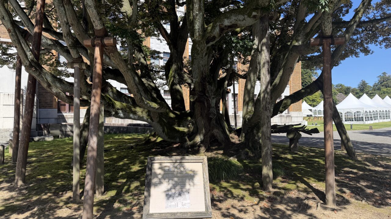 しいのき迎賓館